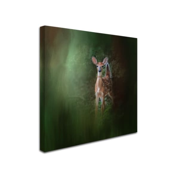 Jai Johnson 'Woodsy Summer Fawn' Canvas Art,14x14